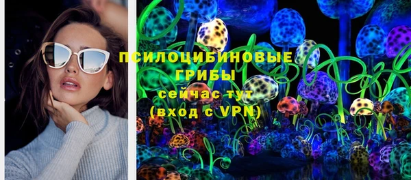 дживик Арсеньев