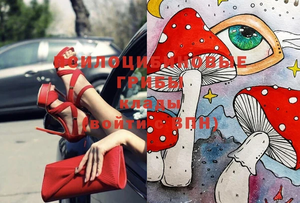 дживик Арсеньев