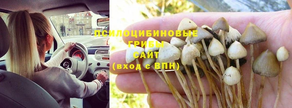 а пвп мука Армянск