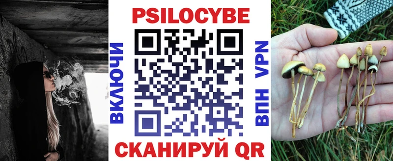 хочу   Аша  Псилоцибиновые грибы GOLDEN TEACHER 