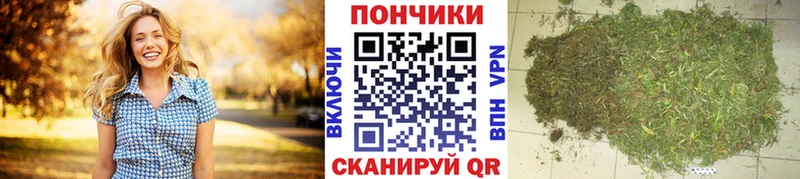 Бошки марихуана гибрид  Аша 
